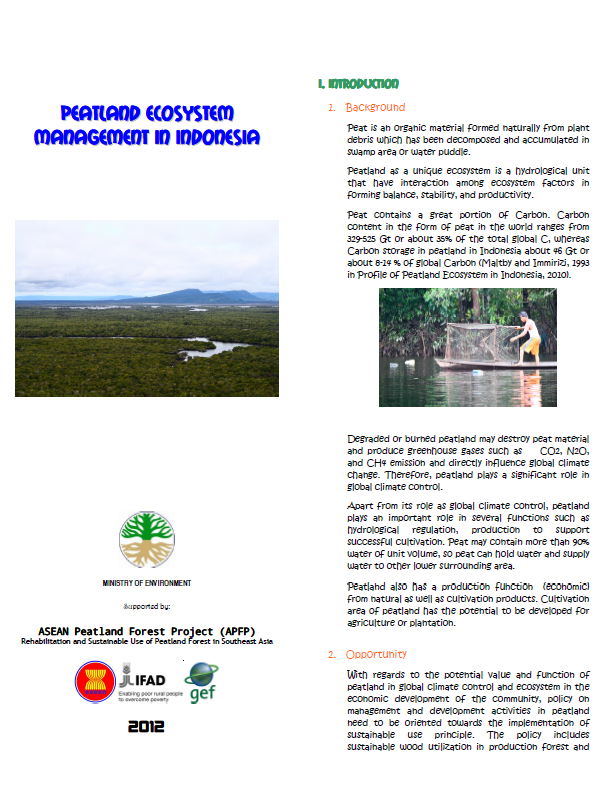 Peatland ecosystem management in Indonesia – ASEAN Haze Portal